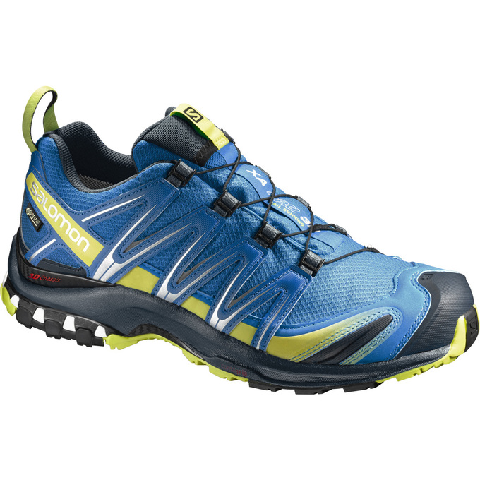 Chaussures De Trail Running Salomon Homme Bleu - Salomon XA PRO 3D GTX® - France (0735-HRIDA)